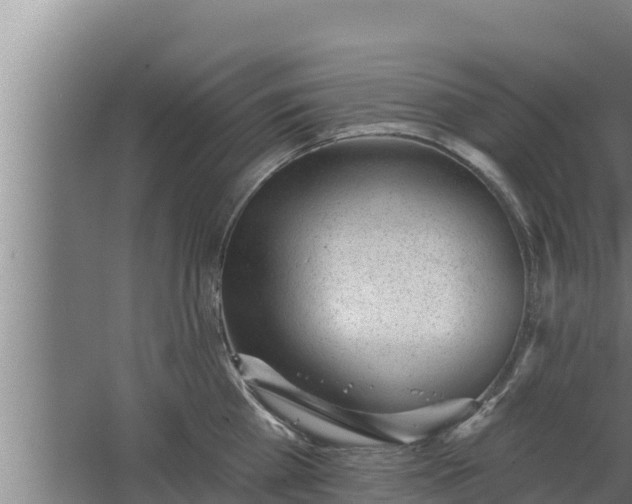 X0000064050809200602031622