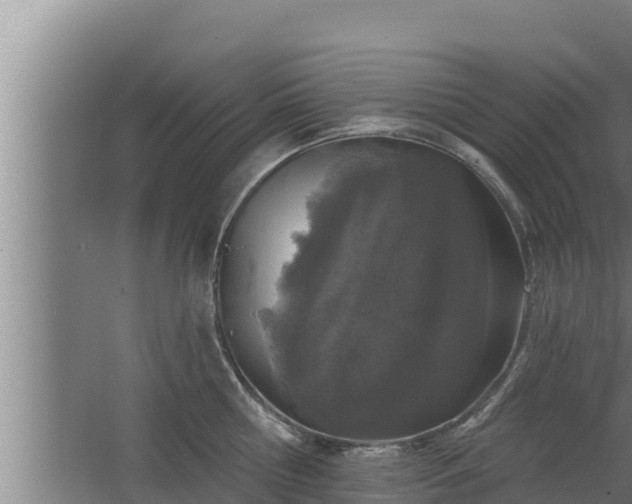 X0000064050810200602031622