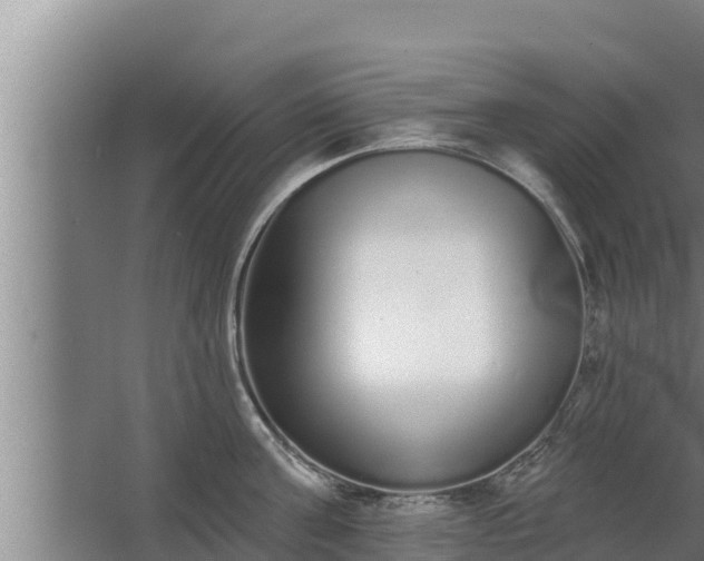 X0000064050811200602031622