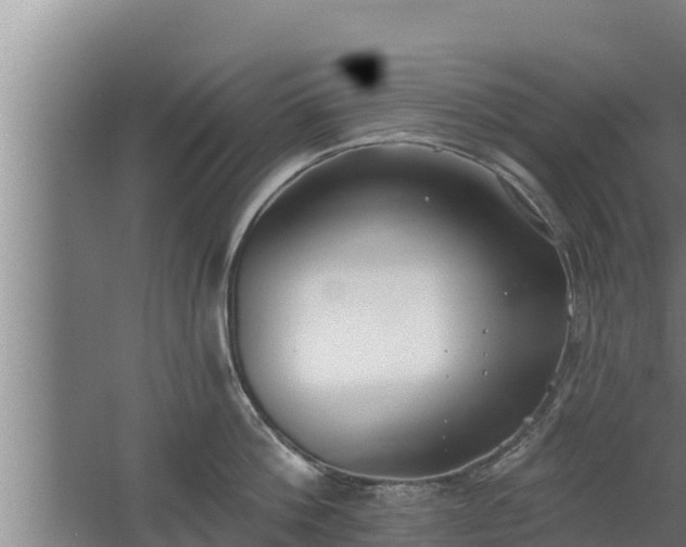 X0000064050812200602031622