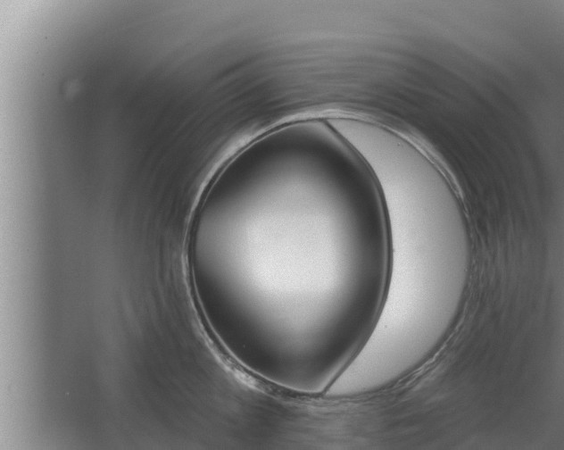 X0000064050813200602031622