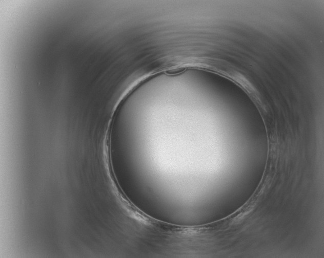 X0000064050814200602031622