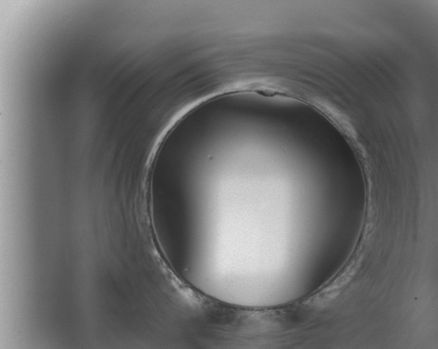 X0000064050816200602031622