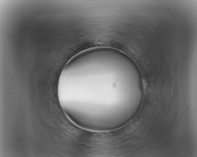 X0000064050817200602031621