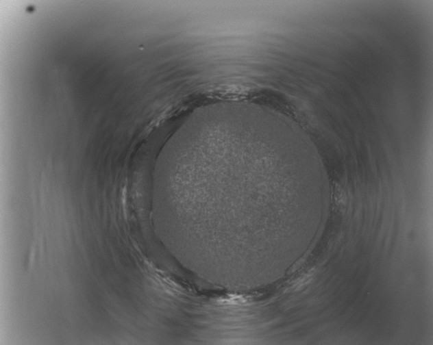 X0000064050818200602031621