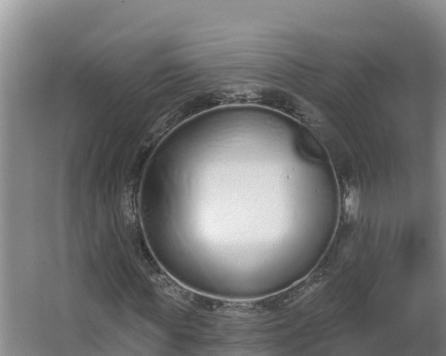 X0000064050819200602031621