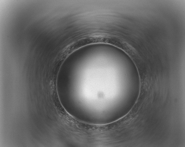 X0000064050821200602031621