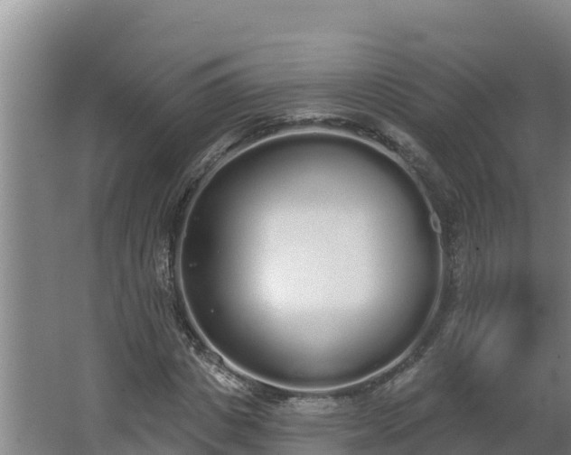 X0000064050825200602031621