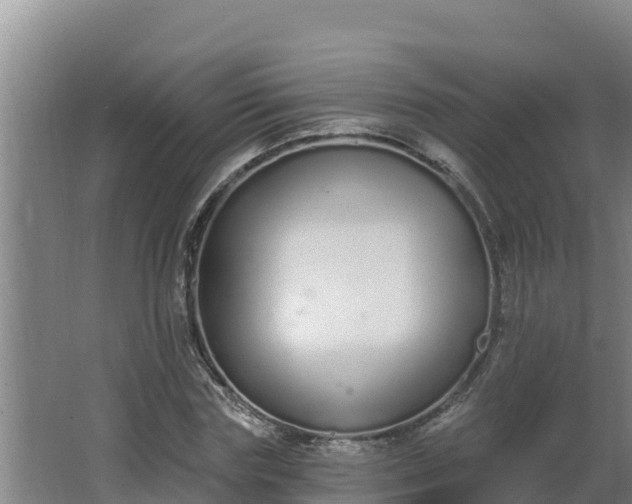 X0000064050827200602031621