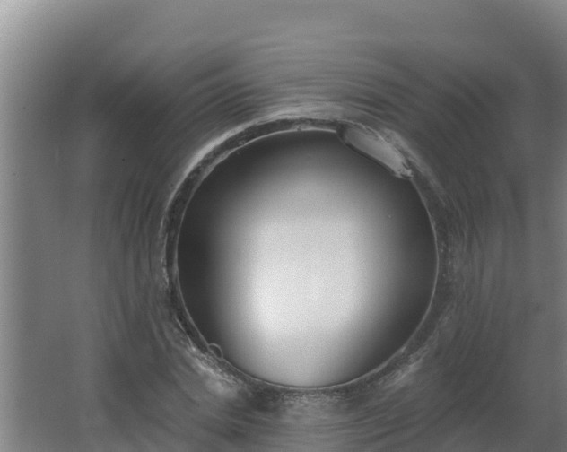 X0000064050830200602031621