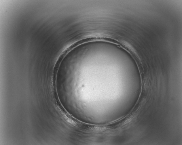 X0000064050831200602031621