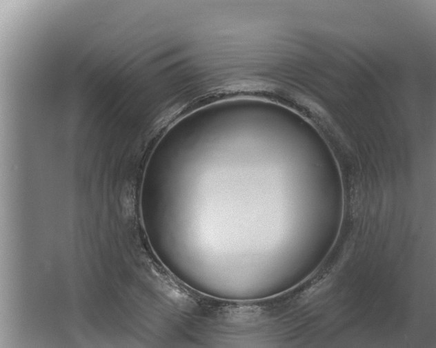 X0000064050833200602031621