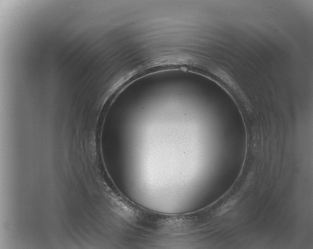 X0000064050834200602031621