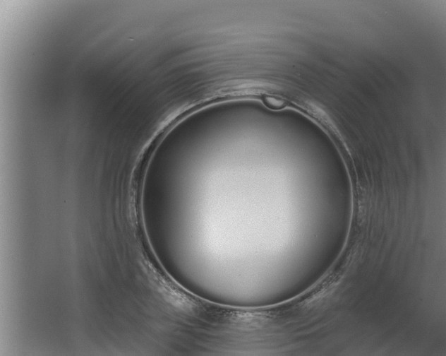 X0000064050835200602031621