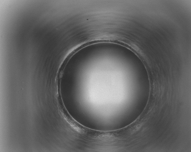 X0000064050838200602031621