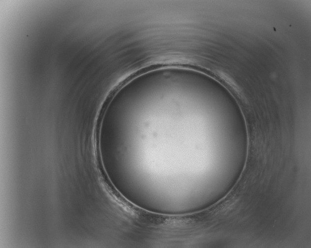 X0000064050840200602031621