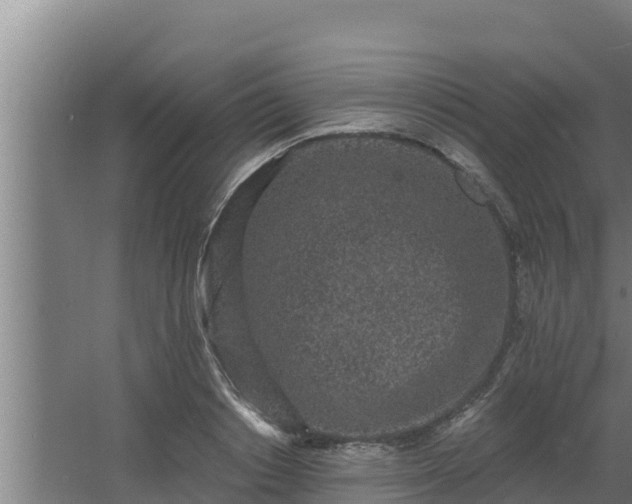 X0000064050842200602031621