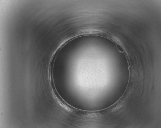 X0000064050843200602031621