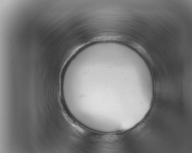 X0000064050844200602031621