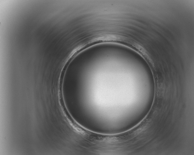 X0000064050845200602031621