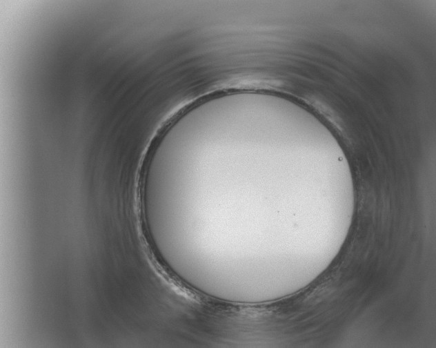 X0000064050848200602031621