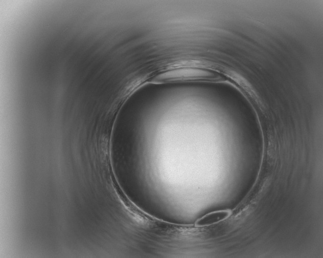 X0000064050849200602031621