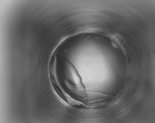 X0000064050851200602031621