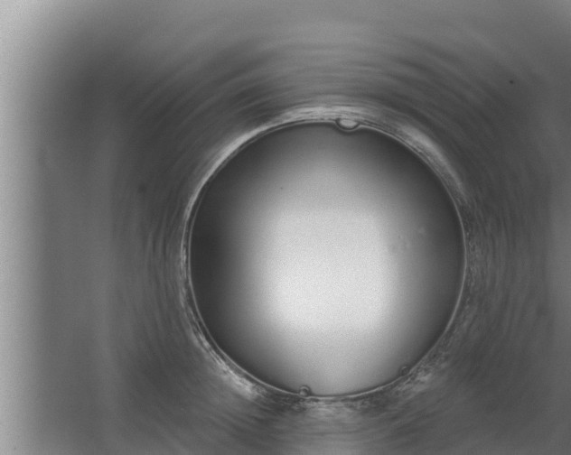 X0000064050852200602031621