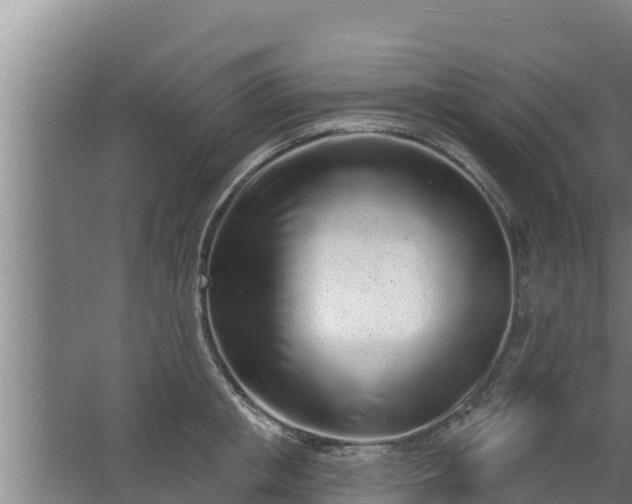 X0000064050853200602031621