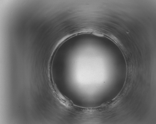 X0000064050854200602031621