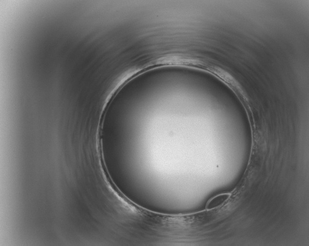 X0000064050855200602031621