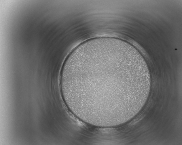 X0000064050856200602031621