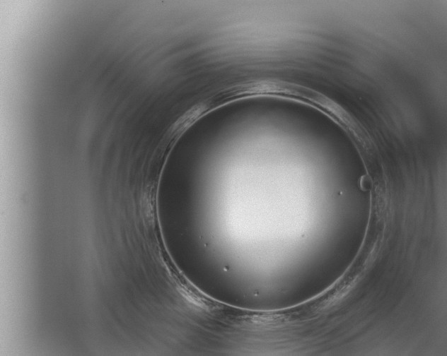 X0000064050857200602031621