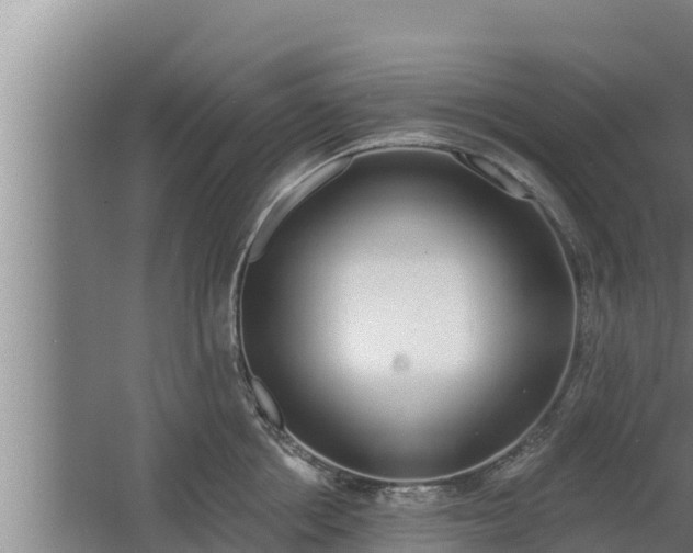 X0000064050858200602031621