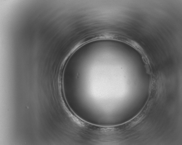 X0000064050859200602031621