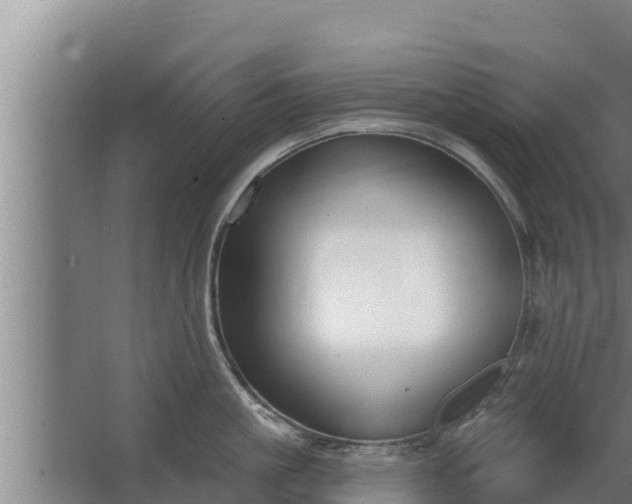 X0000064050861200602031621