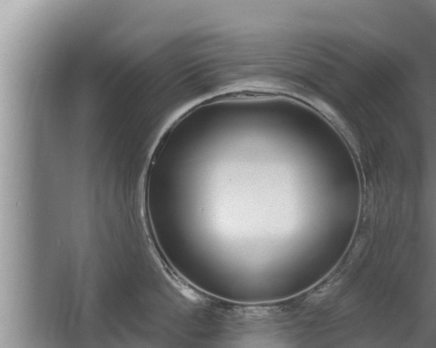 X0000064050862200602031622