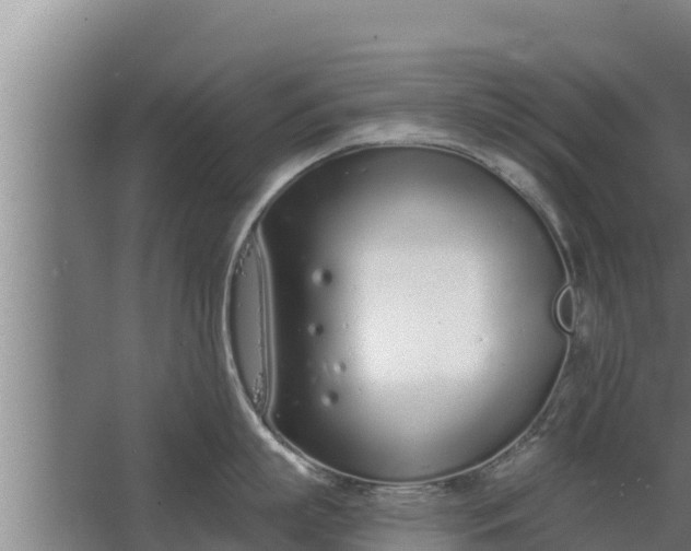 X0000064050863200602031622