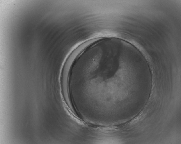 X0000064050864200602031622