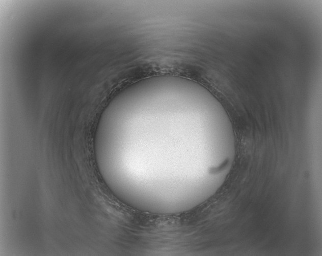 X0000064050865200602031621