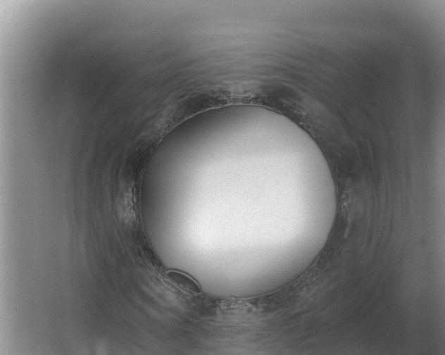 X0000064050866200602031621