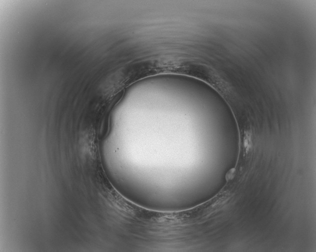 X0000064050867200602031621