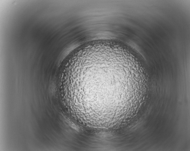 X0000064050874200602031621