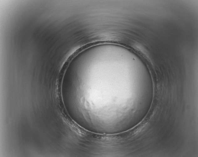 X0000064050875200602031621