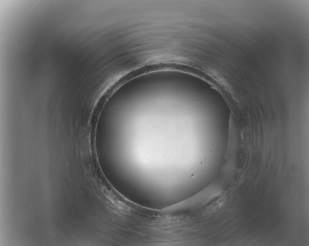 X0000064050877200602031621