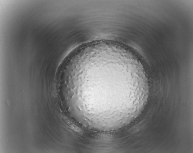 X0000064050878200602031620