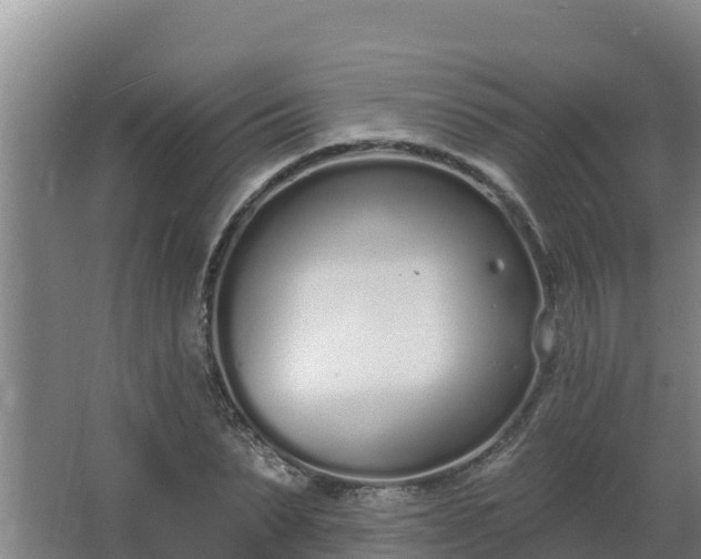 X0000064050879200602031620