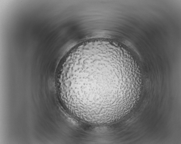 X0000064050882200602031620