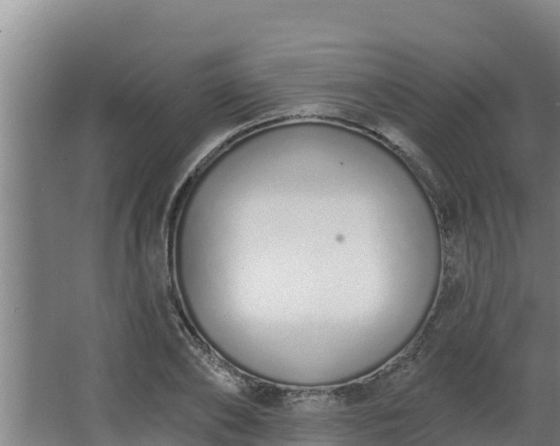 X0000064050886200602031620