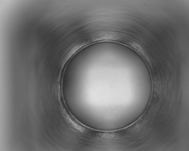 X0000064050890200602031620